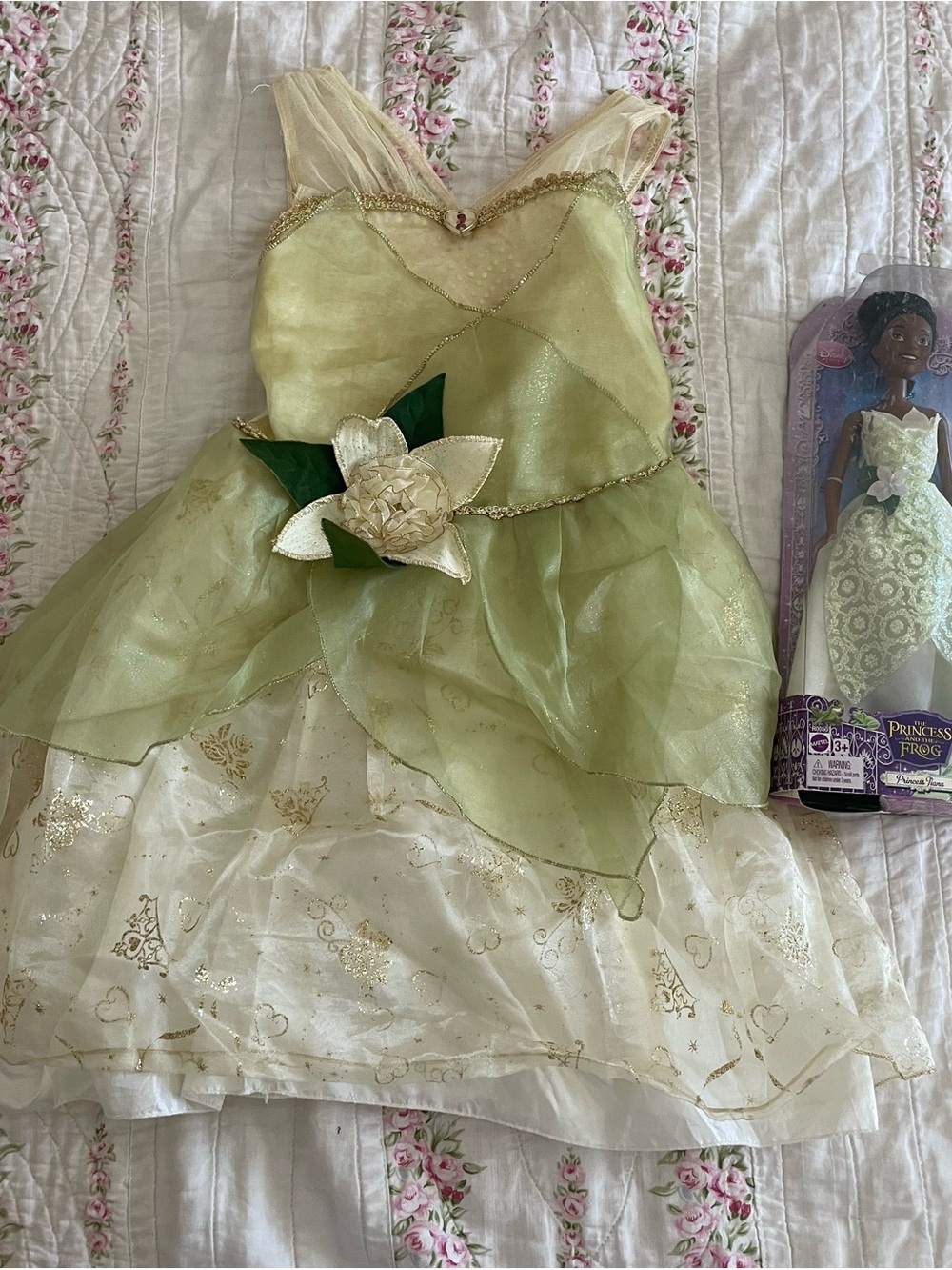 Disney store Princess and the frog Tiana Dress up set with og doll from 2009